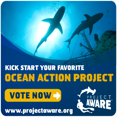 Ocean Action Project 2013 - Vote Banner