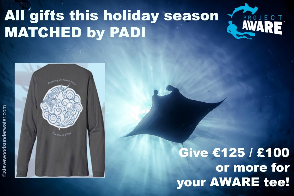 Project AWARE long sleeve T-shirt campaign Holiday Season
