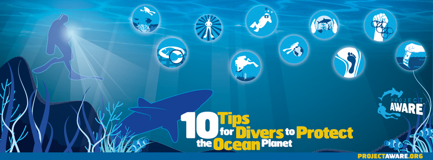 10 Tips for Divers 