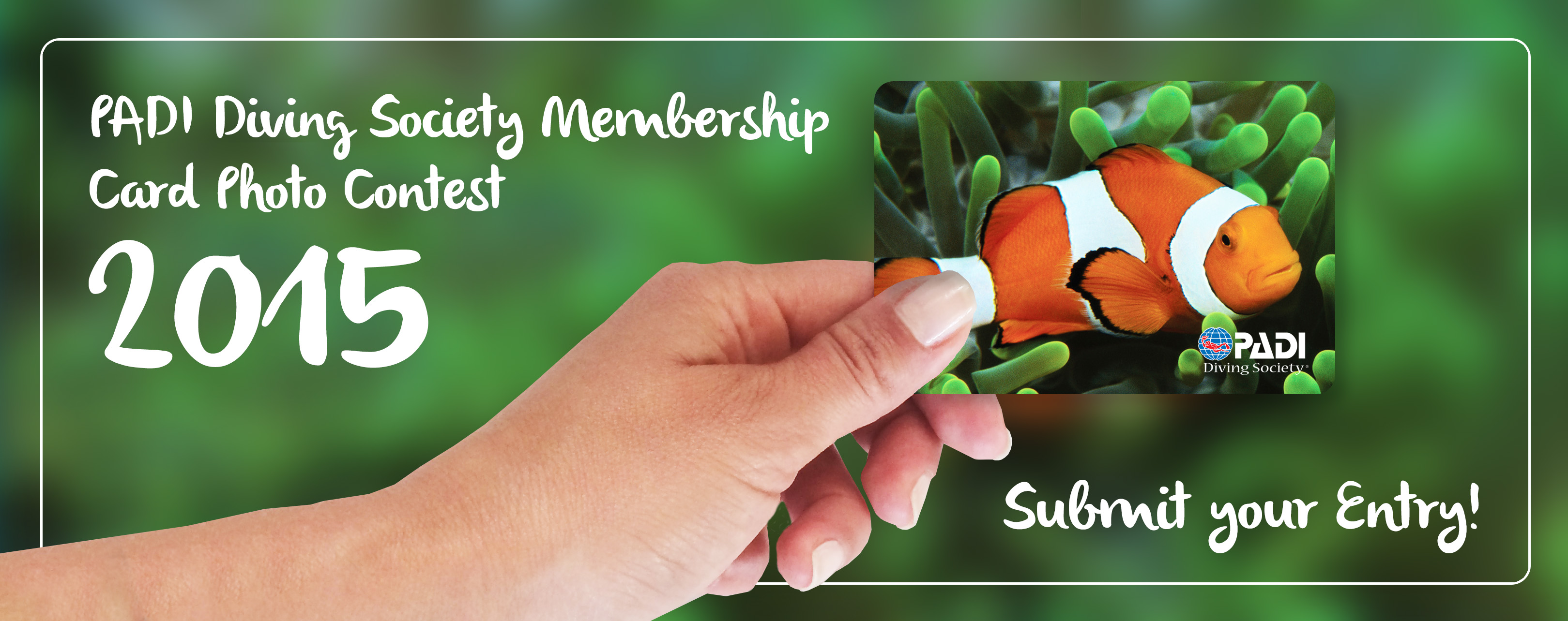 PADI Diving Society’s 2015 Photo Contest PADI Pros