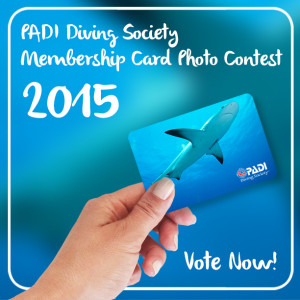 PDS Photo Contest Banner