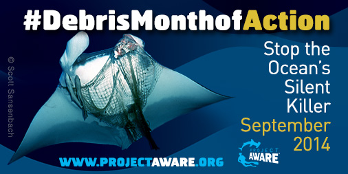 Debris Month of Action