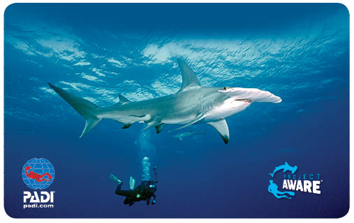 2014 Project AWARE certification card