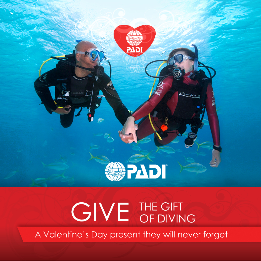 Valentine's Day Facebook post (EN) - PADI Pros