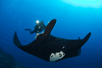 Replacement Card blog 3