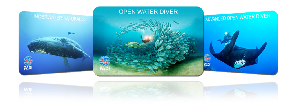 0701 Replacement Card Blog Post Graphic