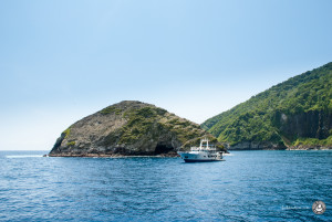 feel4nature-tauchsafari-2