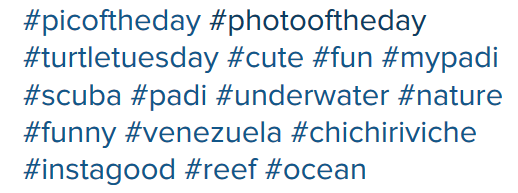 hashtags