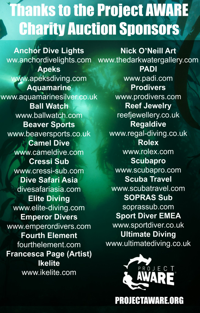 Auction Sponsors List Launch