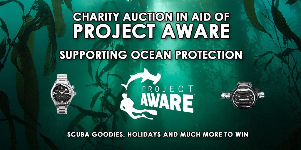 Charity Auction