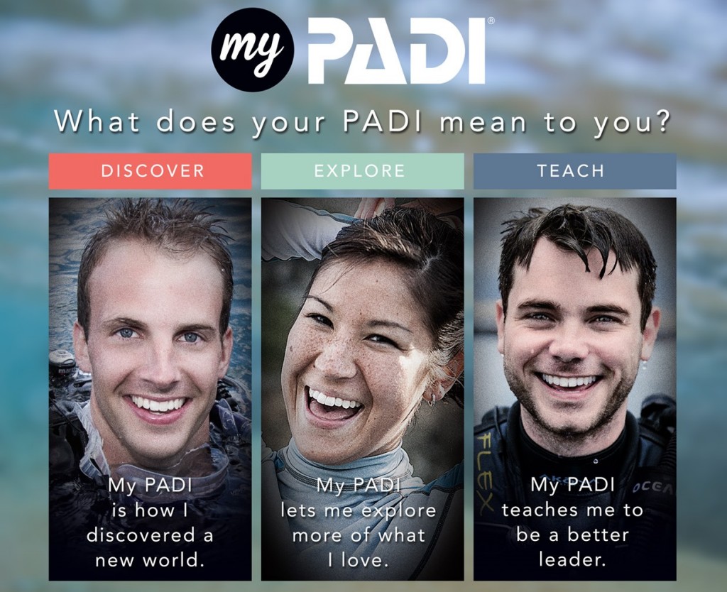 mypadi_talent_header