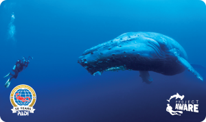 2016 Anniversary Blank