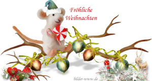 neue-weihnachtsbilder-3