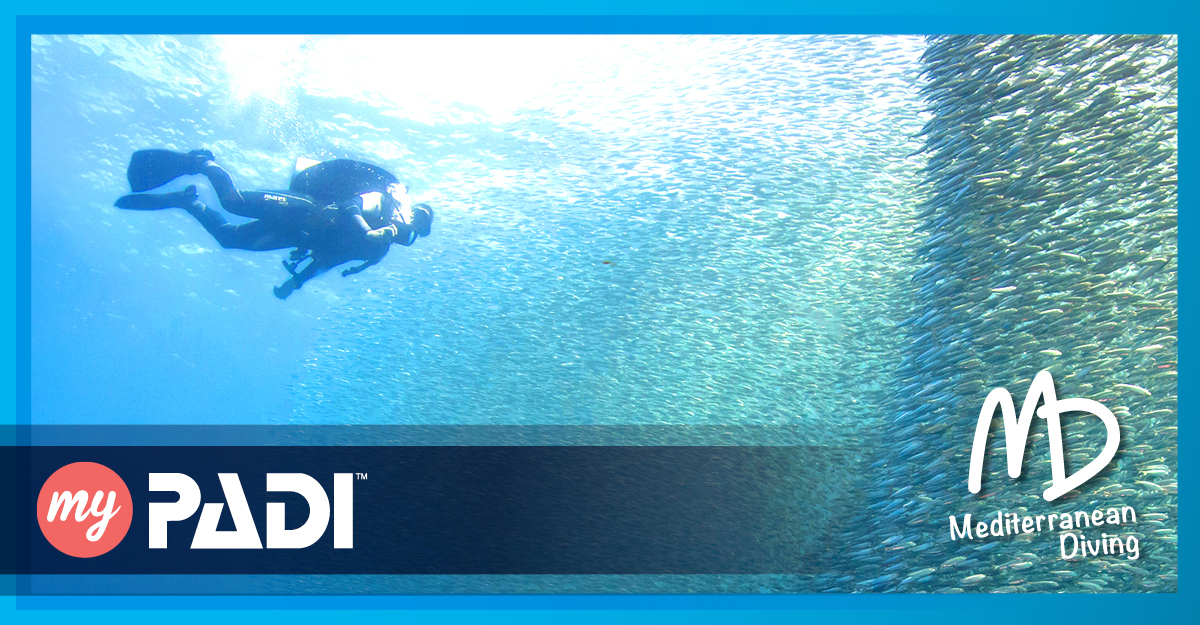 05MD-FB Link-post 1200x625