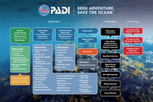 PADI course chart as of May 2024