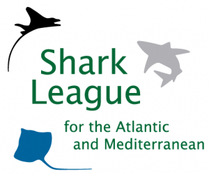 Shark League Turkiyeyi alkisliyor