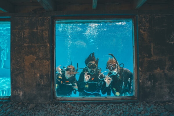 three divers look out a pool window