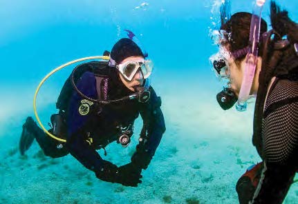 Help Divers ReActivate