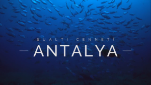 Sualtı Cenneti Antalya