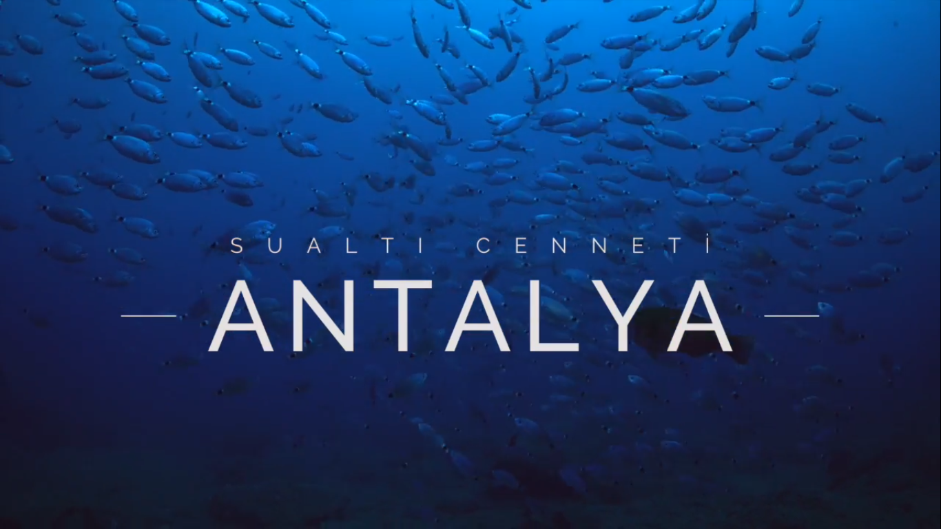 Sualtı Cenneti Antalya