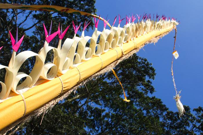 10429226_10152665247294473_602002553019615369_n