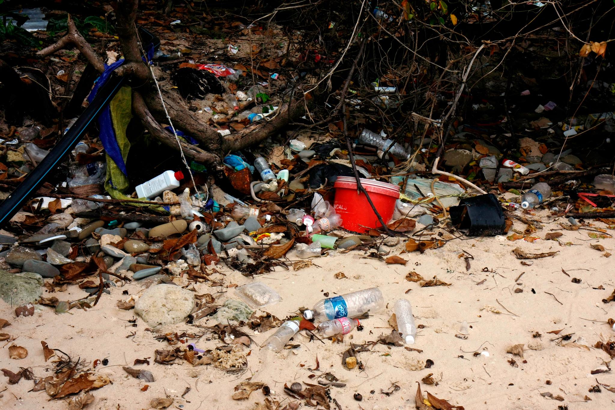 Image of 2017 CDTC Beach Cleanup