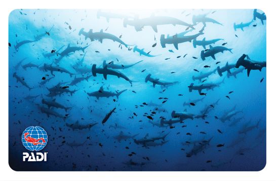 2018_Galapagos　ガラパゴス