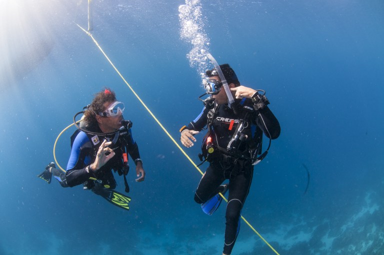 Bonaire-Open Water Course- PADI- Diving