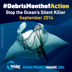 dive against debris month of action