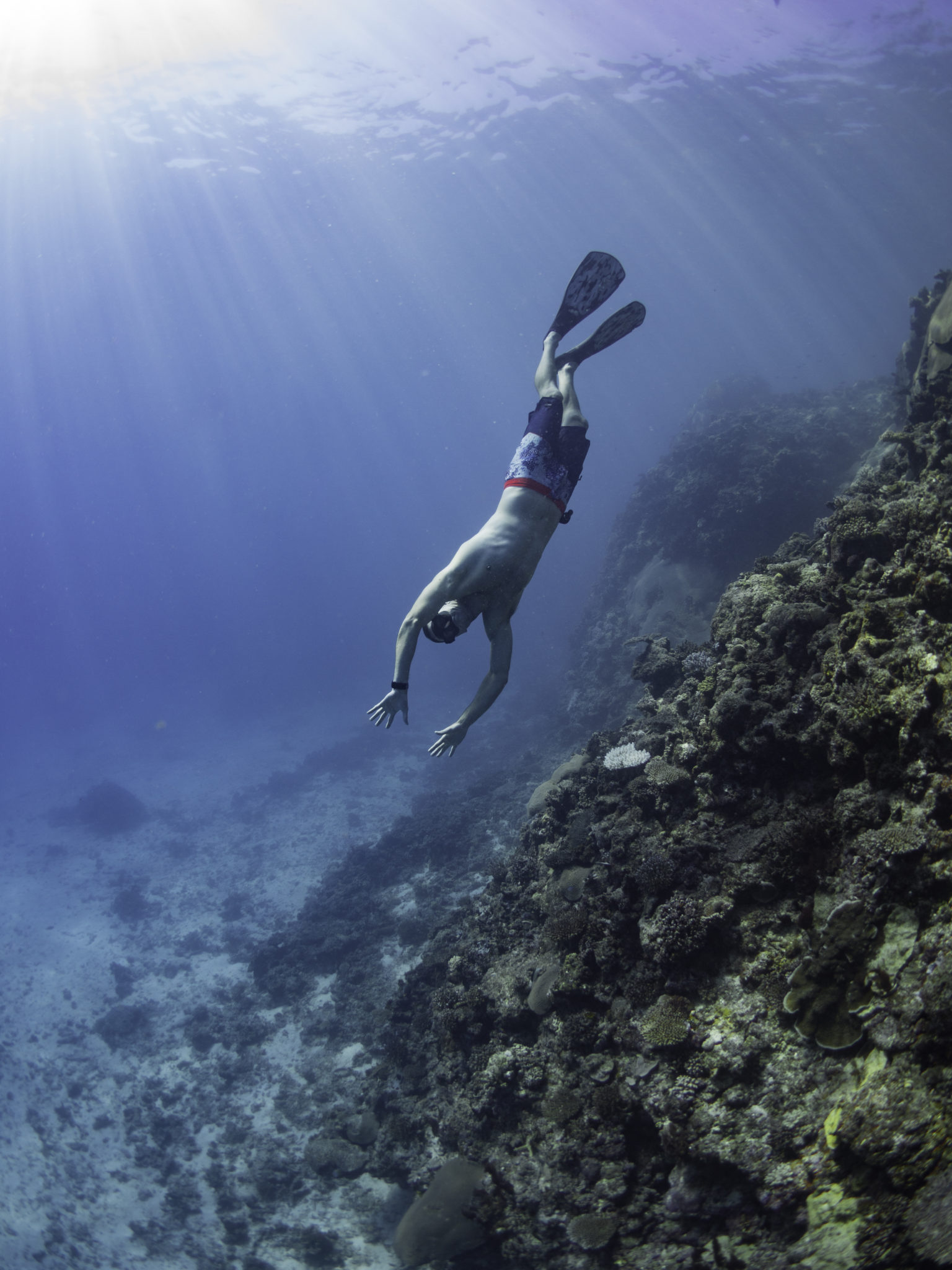 Freediving in the reef