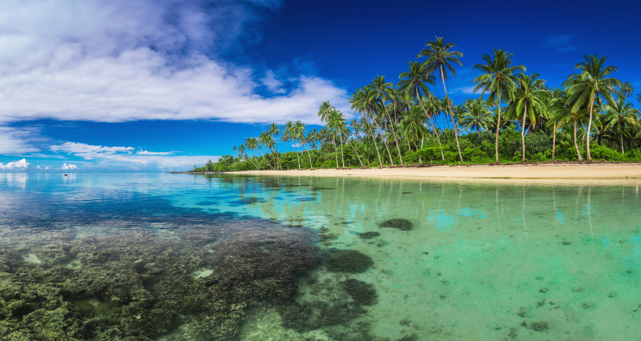Samoa Island- Beach- Tropical