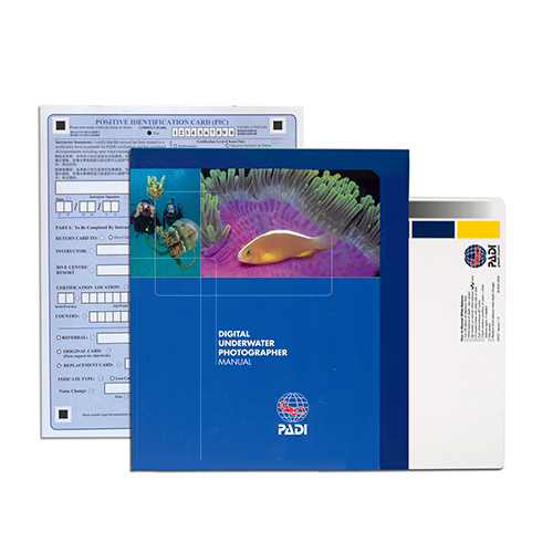 DUP sales image 25.10.13