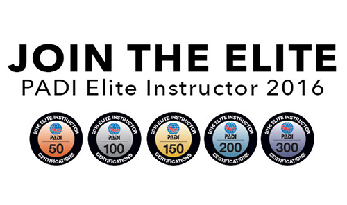 eliteinstructor