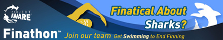 finathon-banner1