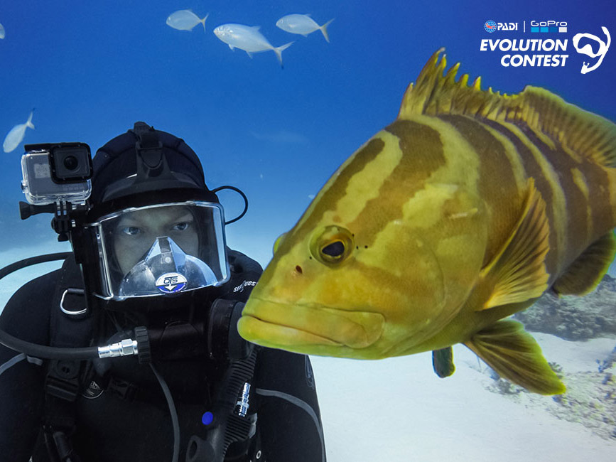 GoPro_headers_1200x650_02_logo