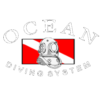 ocean diving