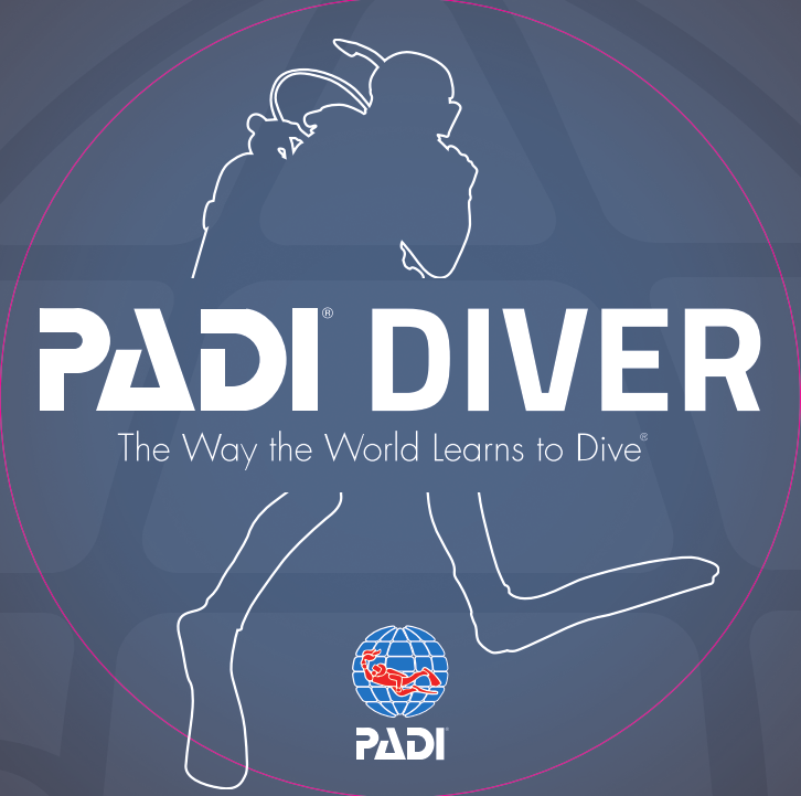 padi%e3%80%80diver