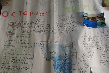 Pondicherry-Scool-2-