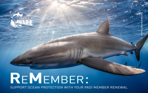 project-aware-remember-renewal