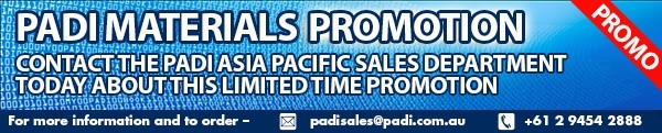 sales-dutch-promotion