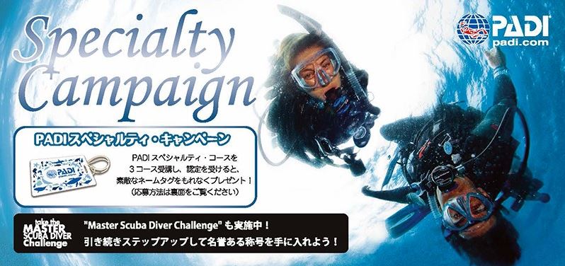 SPキャンペーンチラシ