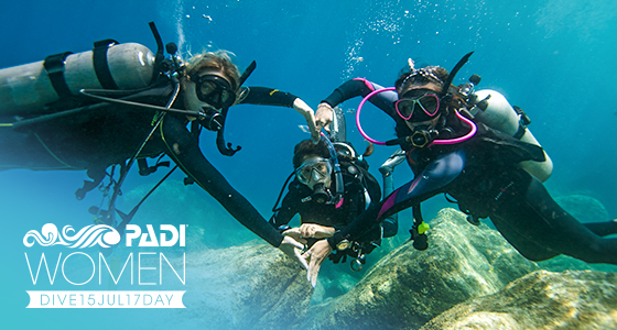 WDD17_banner_560x300