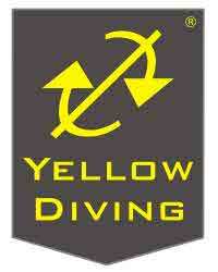 yellow_logo_[ 4000x5000 ]v1-0