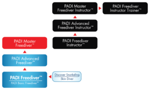 PADI Freediver - Coned Flow Chart - Freediving