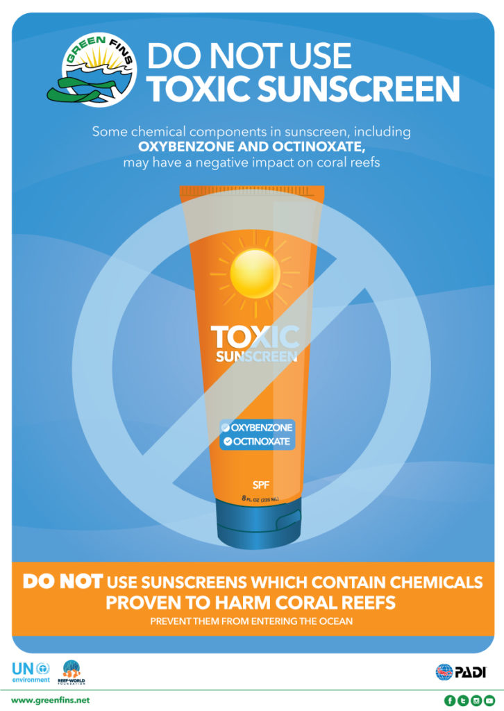 Reef Safe Sunscreen What You and Your Customers Need to Know PADI Pros