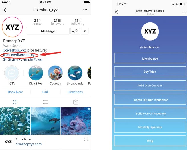 Linktree - Instagram Bio