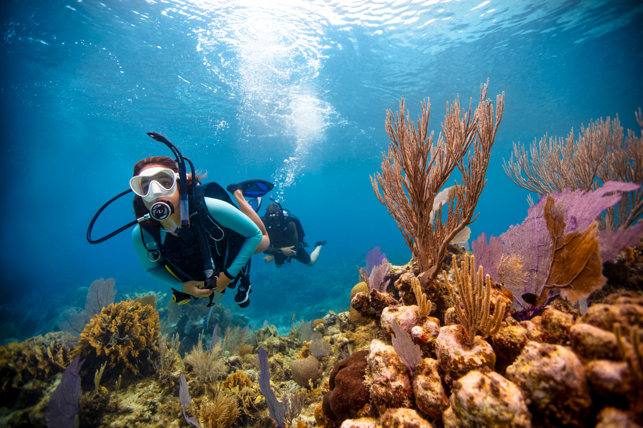 padi women's day dive