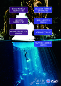 PADI Mermaid Program - Flow Chart