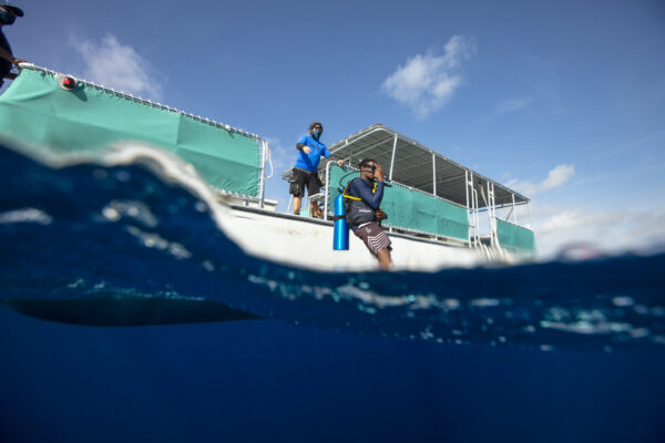 padi courses to be included in new diving degree
