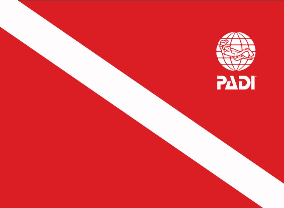 DiveFlag1 PADI Pros